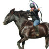 Limited Edition Inspiring Rider Certificate – HAYLEY CHAMBERS - Image 3